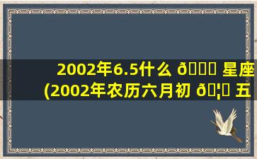 2002年6.5什么 💐 星座(2002年农历六月初 🦅 五是什么星座)